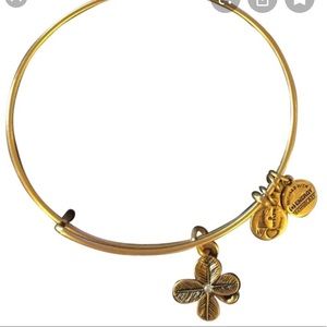 Alex and Ani Charm Bracelet